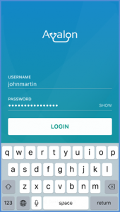 avalon-login-with-keyboard-1